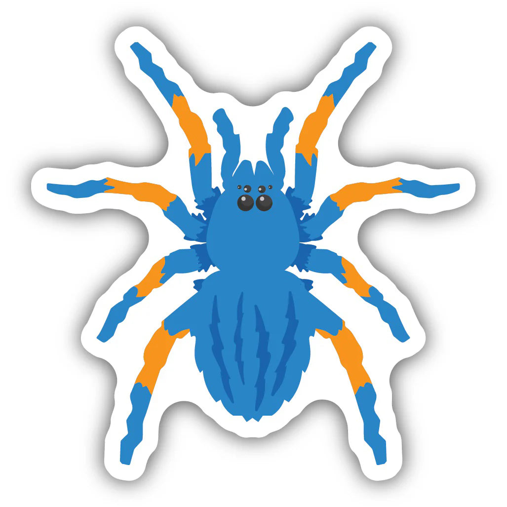 Blue Spider Sticker - Lighten Up Shop