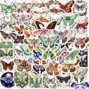 Stickers - Metaphysical, Evil Eye, Witchy, Mandala, Mushroom, Dragon, Moths, Crystals, Mystical Cats