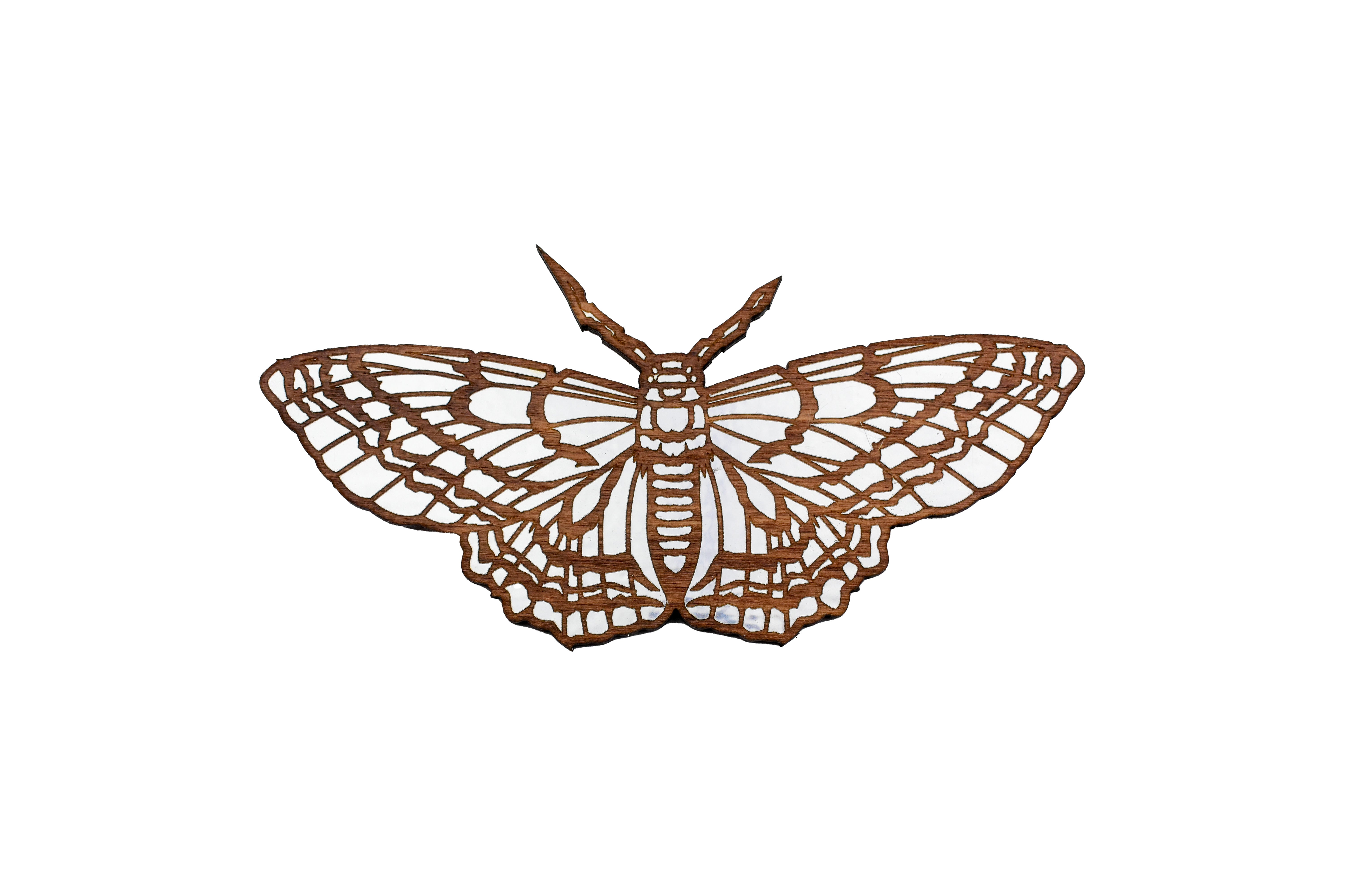 Butterfly Magnet with Silver - Lighten Up Shop