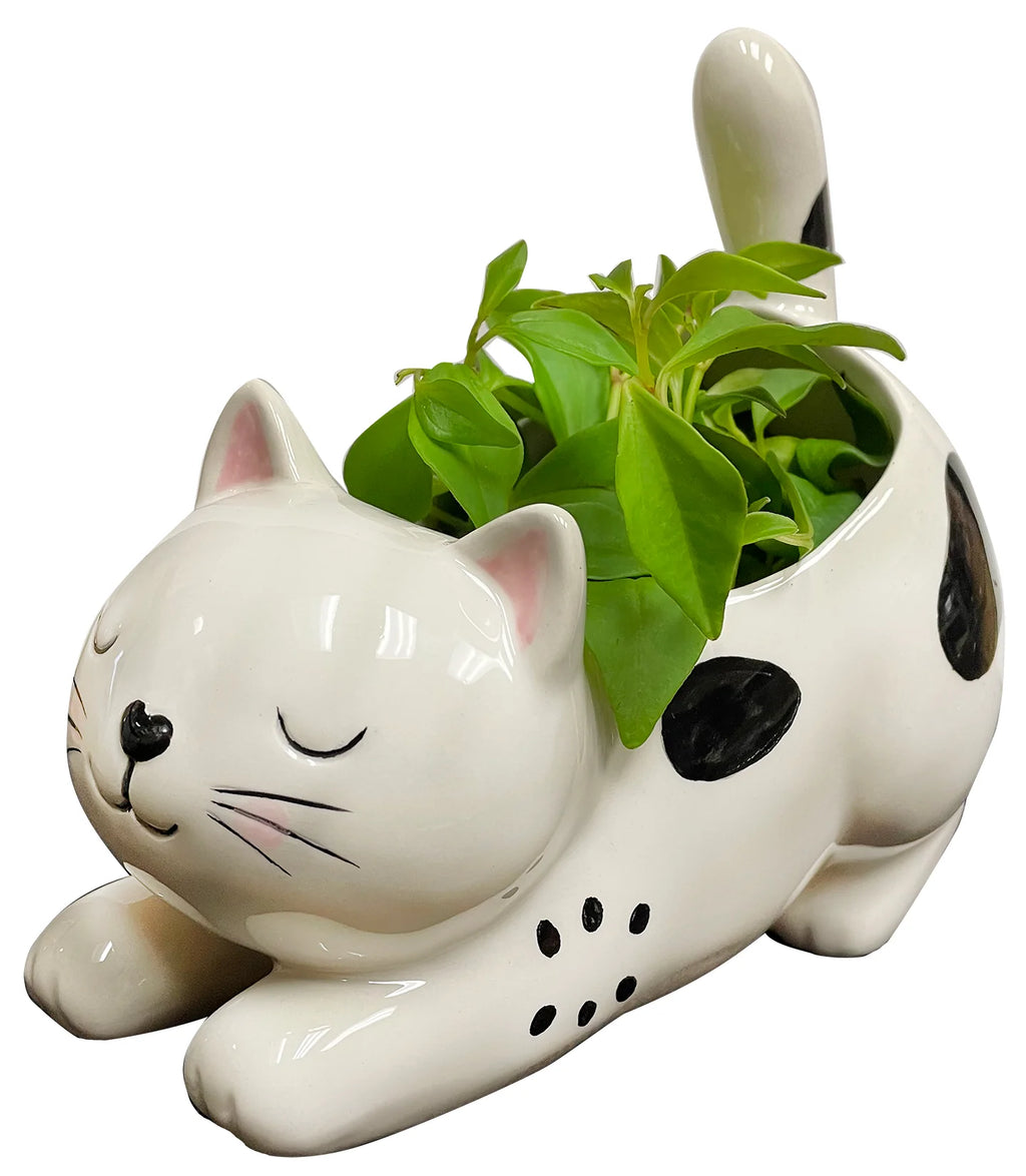 Yoga Kitty Planter - Lighten Up Shop