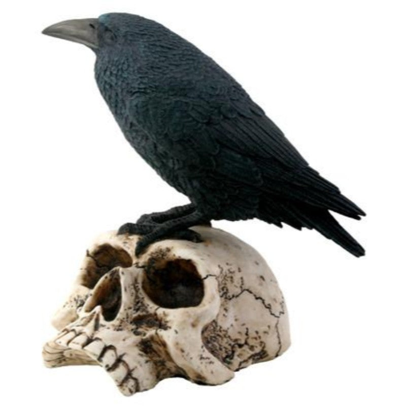 Raven on Skull Statue - Lighten Up Shop