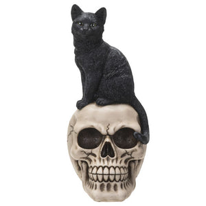 Cat on Skull Statue