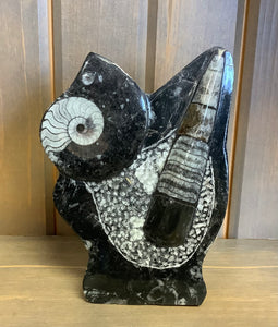 Ammonite Orthoceras - Lighten Up Shop