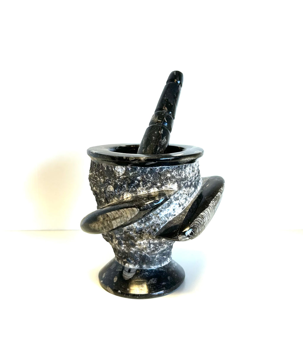 Mortar & Pestle - Orthoceras - Lighten Up Shop