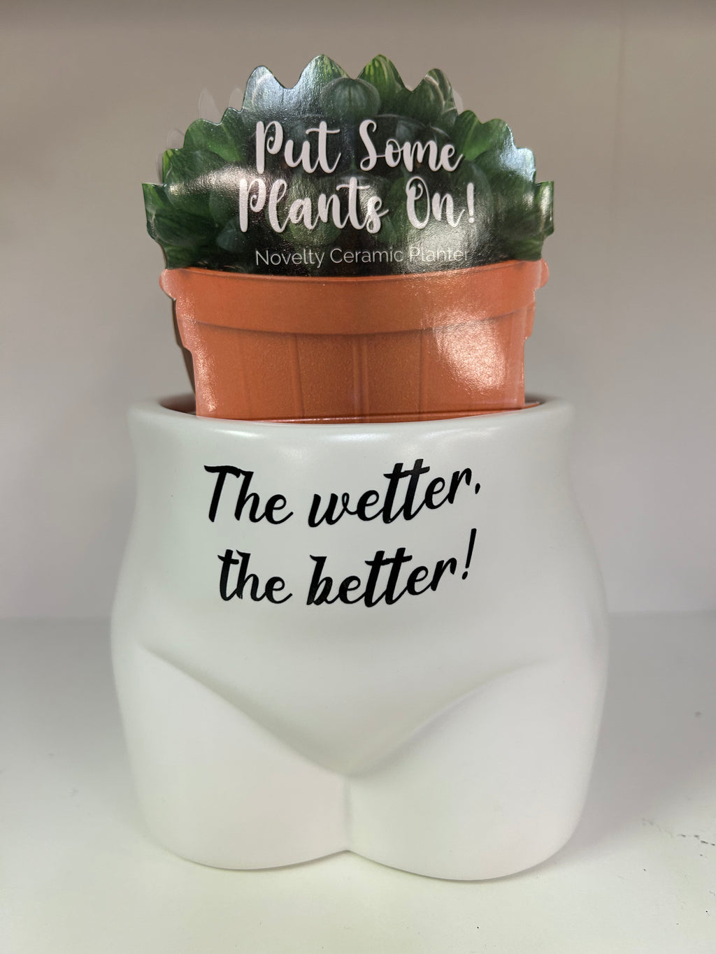 The Wetter The Better Plant Pot - Lighten Up Shop