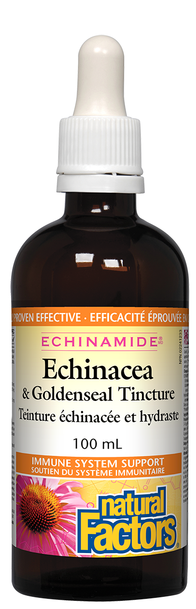 Echinacea and Goldenseal Tincture 100ml - Lighten Up Shop
