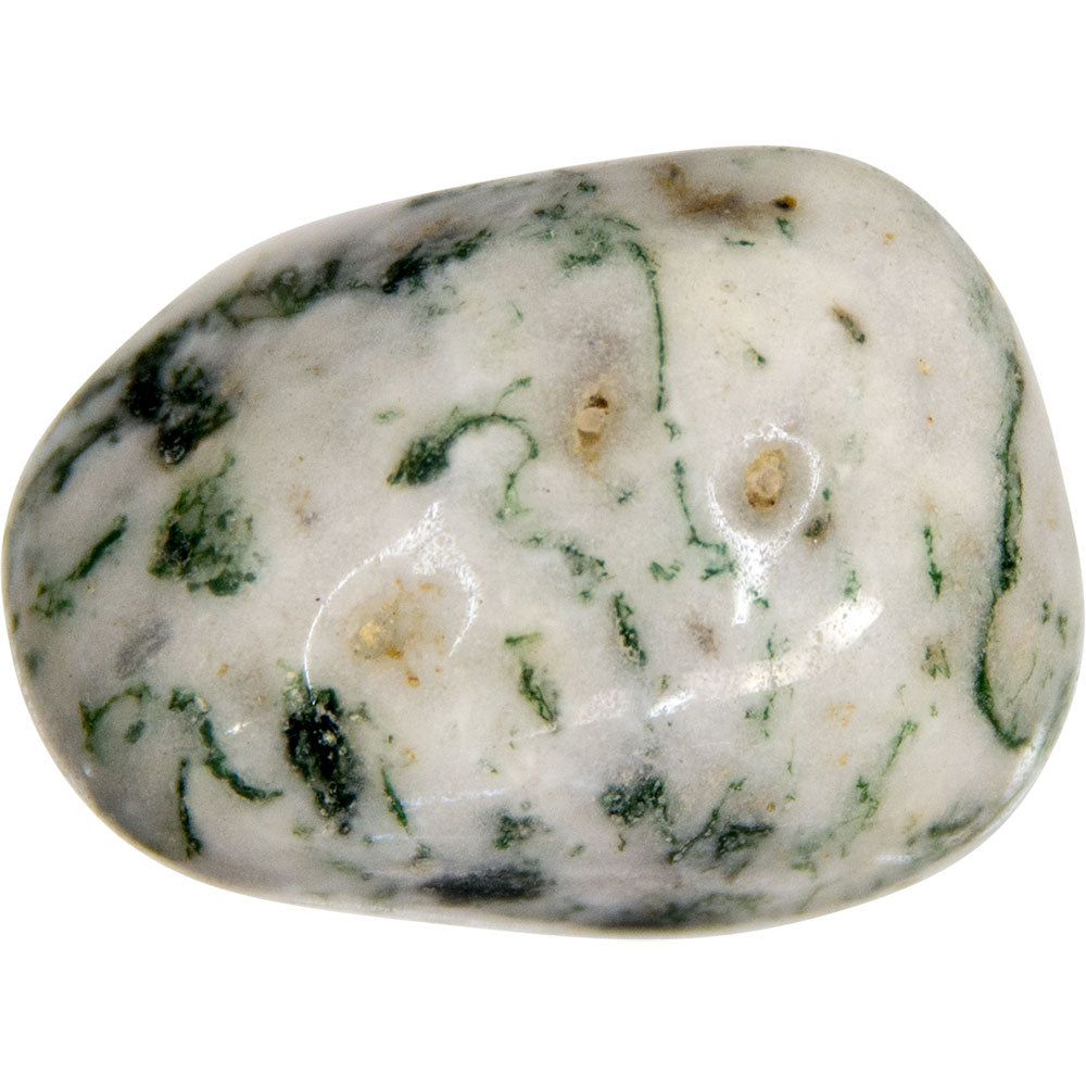 Tree Agate Loose Tumbled - Lighten Up Shop