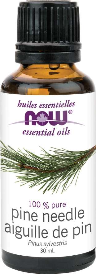 Pine Needle Essential Oil 30ml - Lighten Up Shop