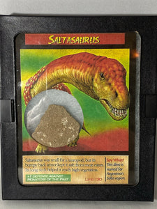 Saltasaurus Skin Fossil - Lighten Up Shop
