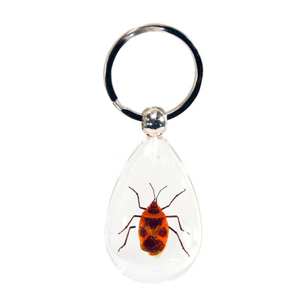 Red Beetle Keychain - Lighten Up Shop