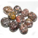 Leopardskin Jasper Loose Tumbled - Lighten Up Shop